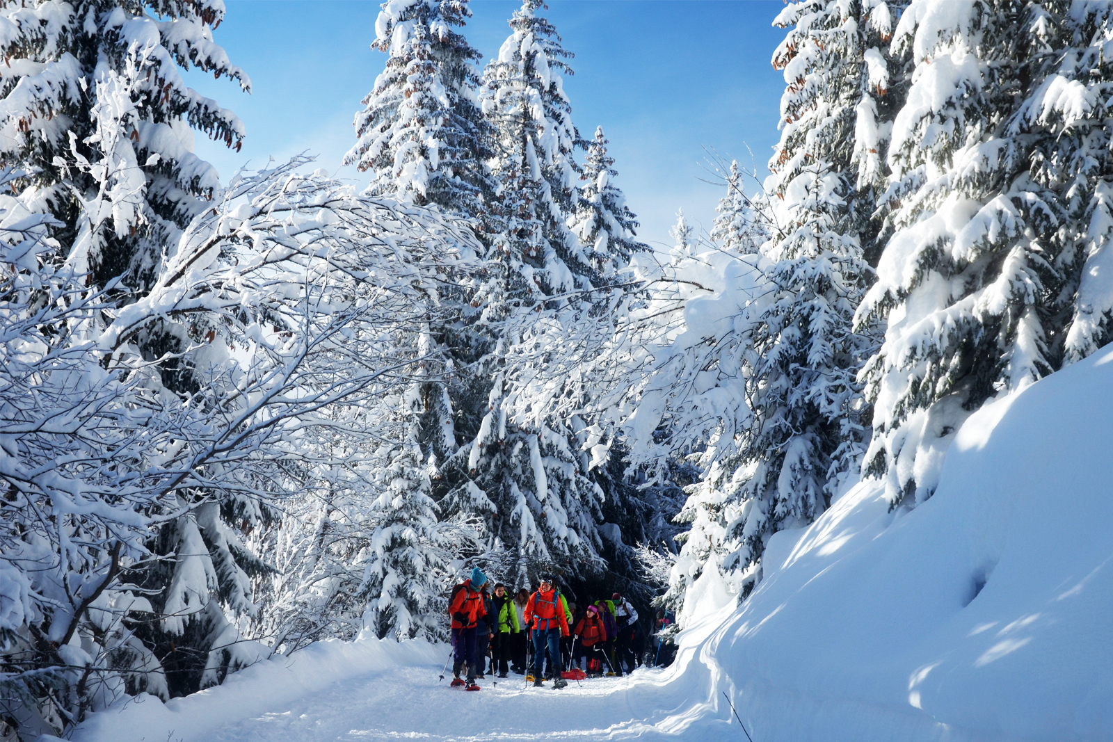Maniva offers a variety of winter activities cross-country skiing Tobogganing Sleddog Snowshoeing and much more
